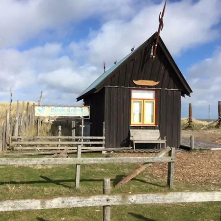 Holiday home Small House In The Center Of De Cocksdorp On The Island Texel