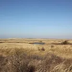 Sunny In Heart Of Texel Semesterbostad De Cocksdorp (Texel)